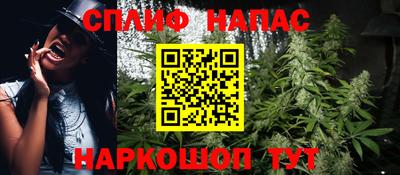 стафф Краснодар