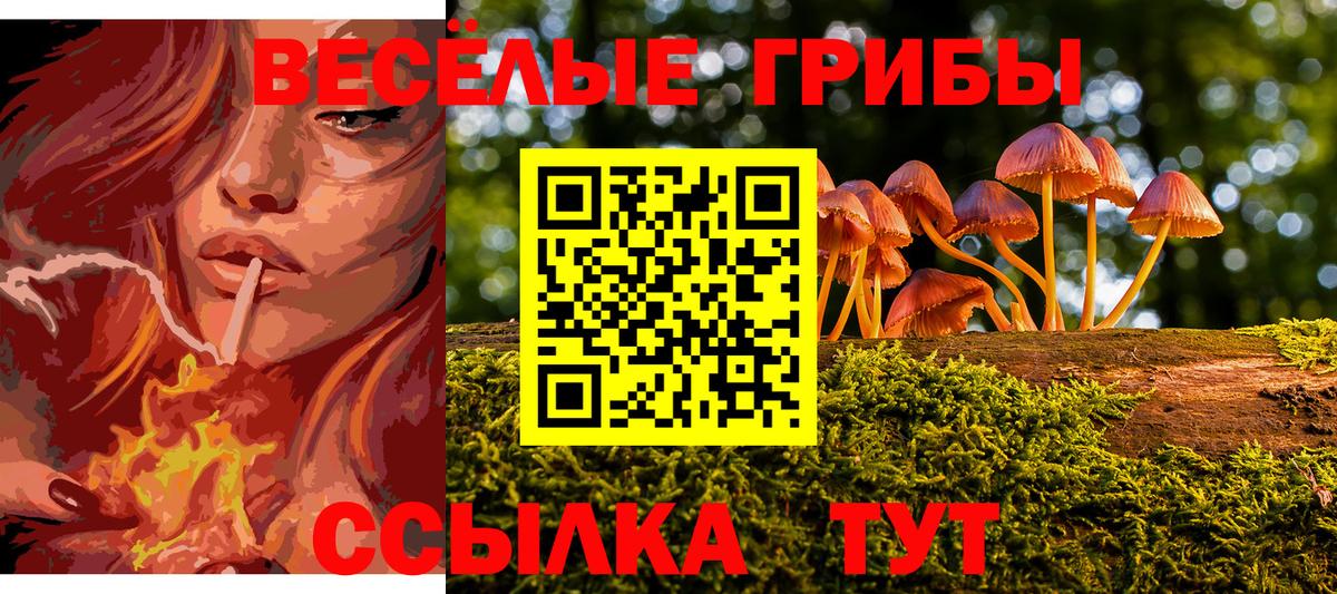 Псилоцибиновые грибы GOLDEN TEACHER Изобильный